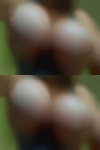 Swingers fuck